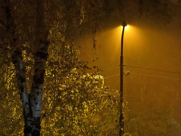 Осень фонарь дождь