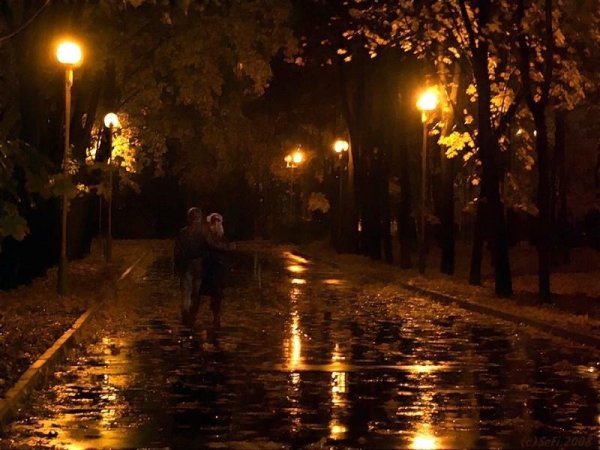 Дождь вечером