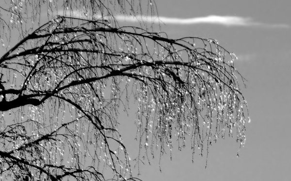 Дождик зимой