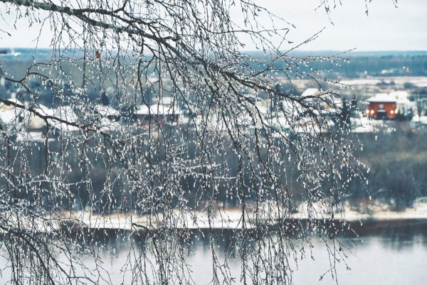 Осадки зимой дождь