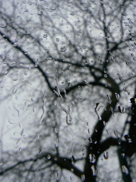 Дождик зимой