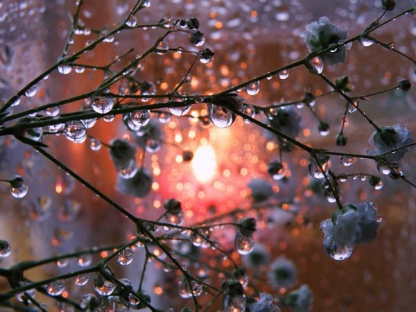 Весна капель