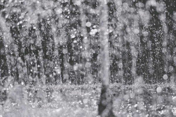 Снег с дождем