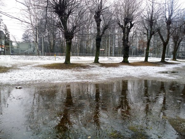 Дождь в марте