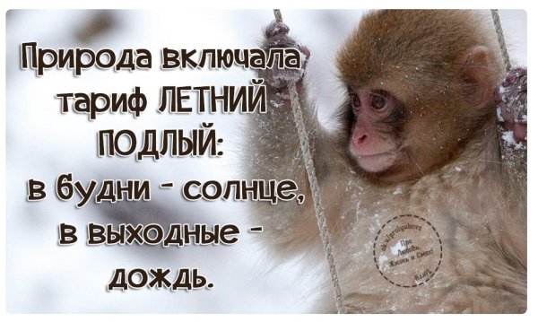 Статусы на выходные в картинках