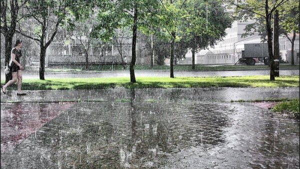 Летний дождь в городе