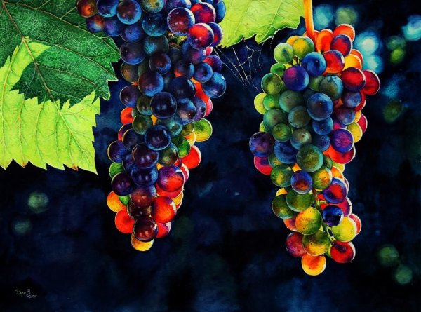Цветной виноград