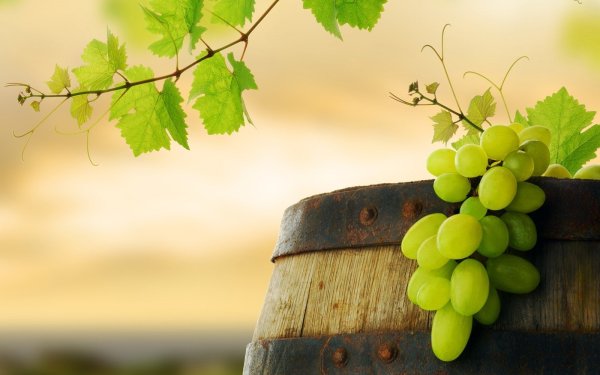 Виноград обои