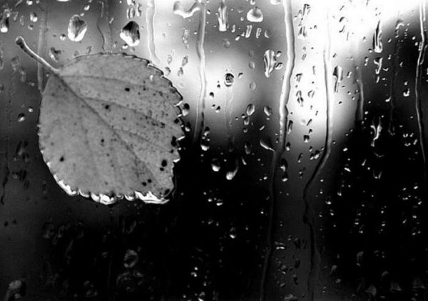 Капли дождя на окне