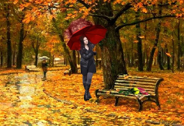 Осенний парк под дождем