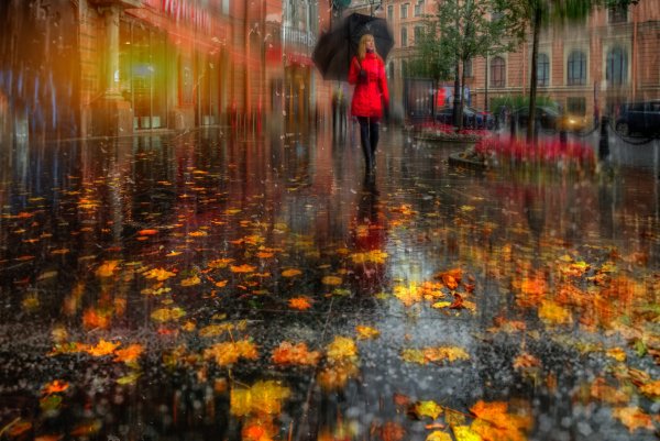 Девушка - осень в Петербурге Эдуард Гордеев -