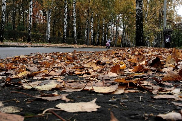 Осенняя слякоть