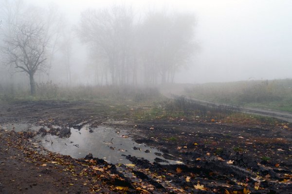 Поздняя осень грязь