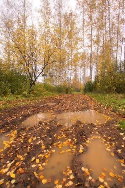 Грязь осенью
