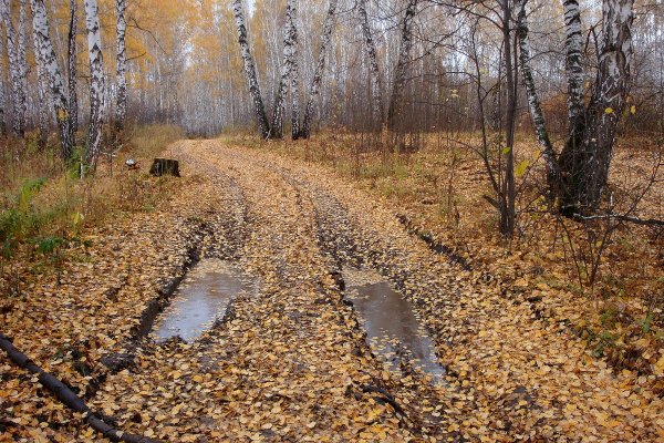 Деревня дорога слякоть
