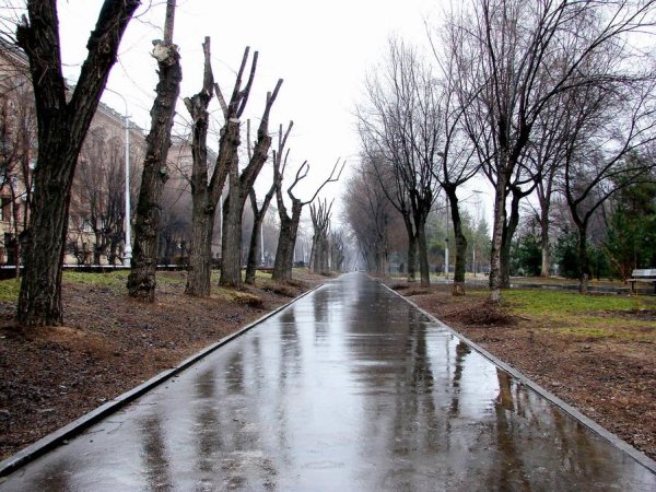 Пасмурная Весна в городе