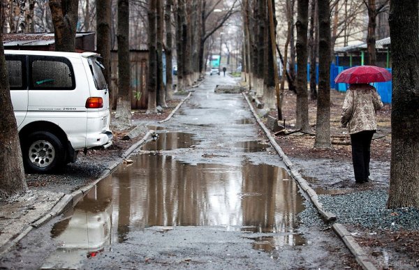 Осень слякоть дождь