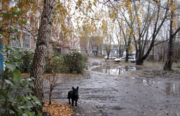 Поздняя осень в городе