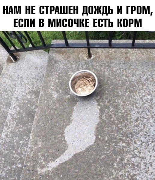Дождь не страшен картинки