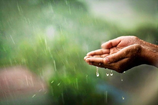 Руки под дождем