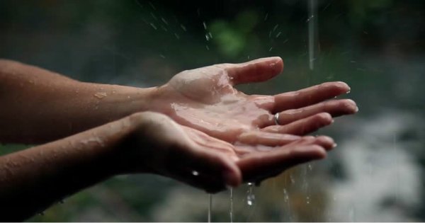 Hands held in Rain