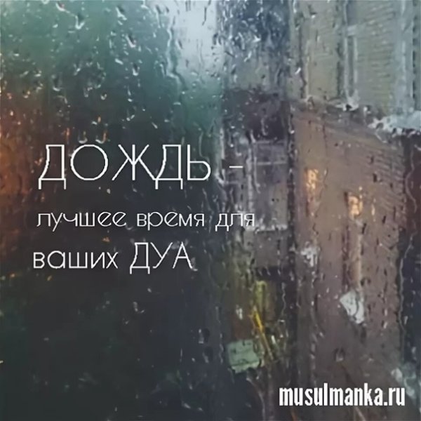 Дождь в Исламе хадисы