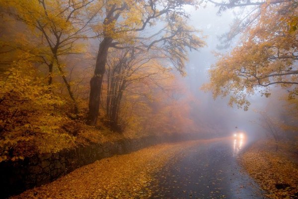 Осенний туман