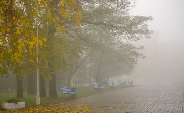 Осеннее туманное утро в городе