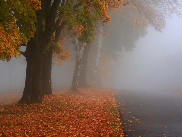 Погодные явления осенью