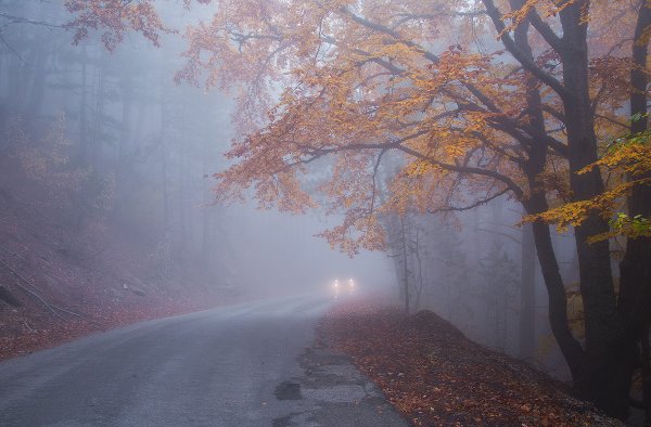 Дорога осенняя в тумане