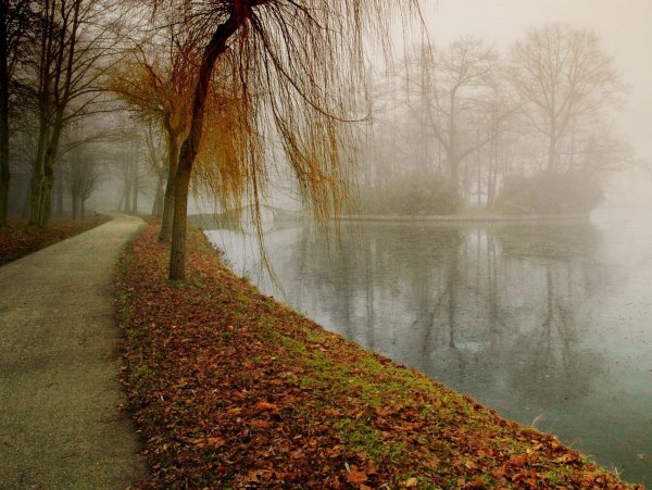 Осень дождь туман