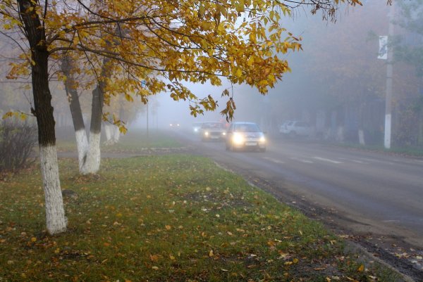 Осенний туман в городе