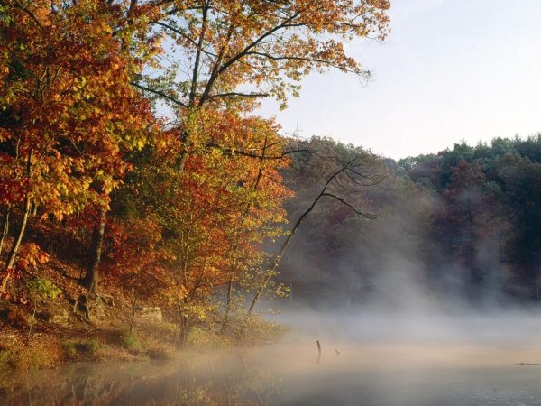 Туман осенью