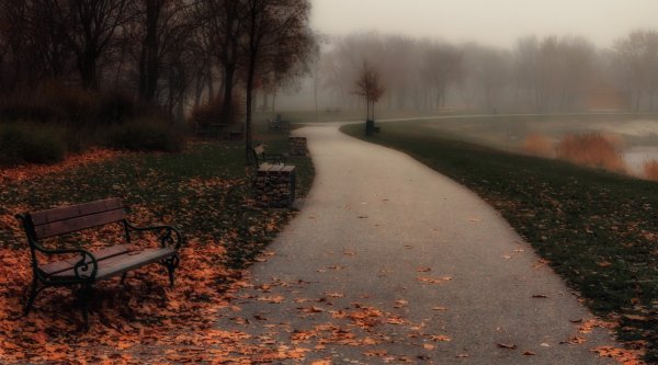 Осенний пасмурный парк