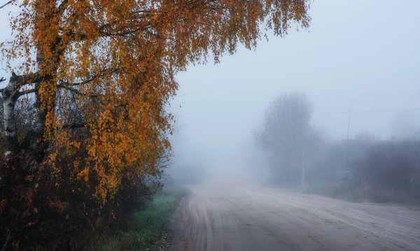 Осень дождь деревня