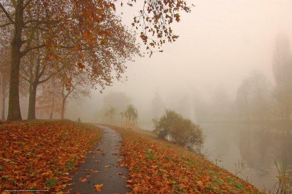 Осенний туман