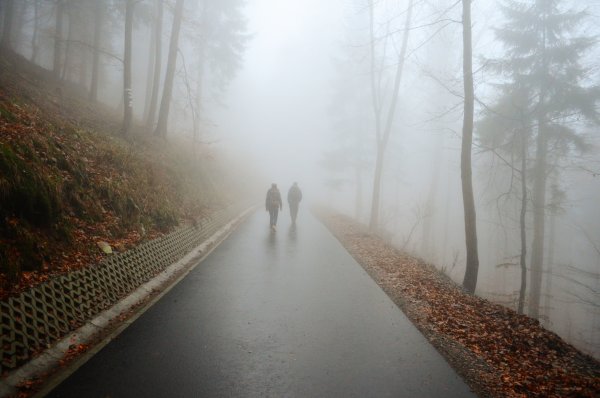 Дорога в тумане