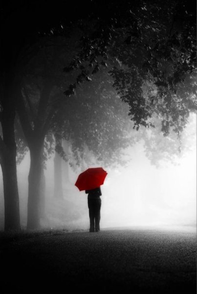 Черно белое с красным зонтом