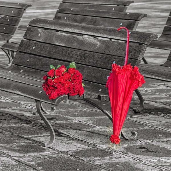 Ассаф Франк