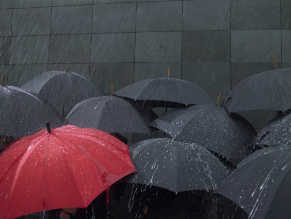 Толпа с зонтиками