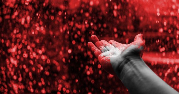 Кровавый дождь природное явление