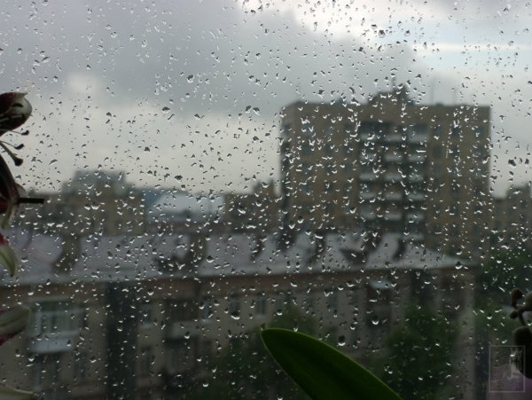 Серое дождливое утро