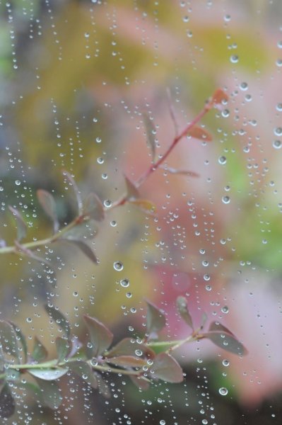 Дождливая Весна