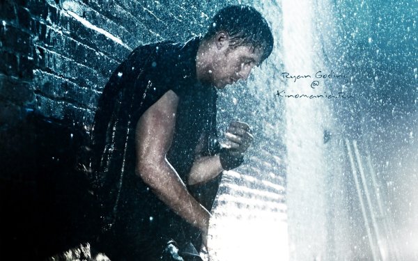 Гослинг под дождем