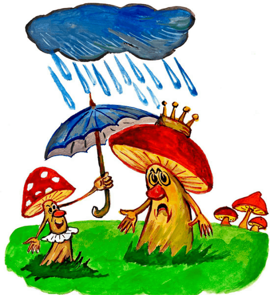 Грибной дождик