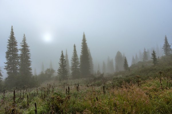 Туман в Ергаках