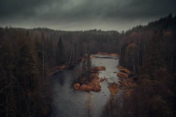 Хмурая Тайга