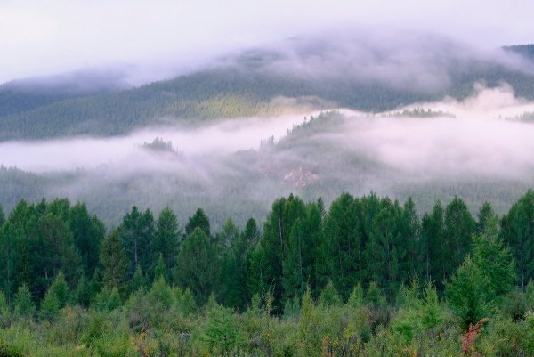 Туман над сопками