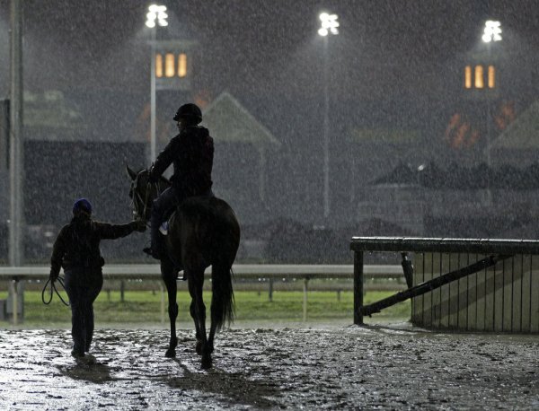 Лошадь и дождь