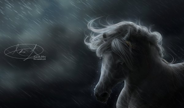 Лошадь и дождь